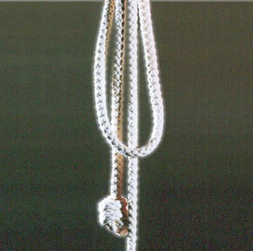 Albor i kyrkans tjänst  funktion, form och tradition