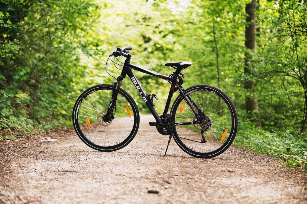 Mountainbike  frihet, fart och kontroll på stigar och grus